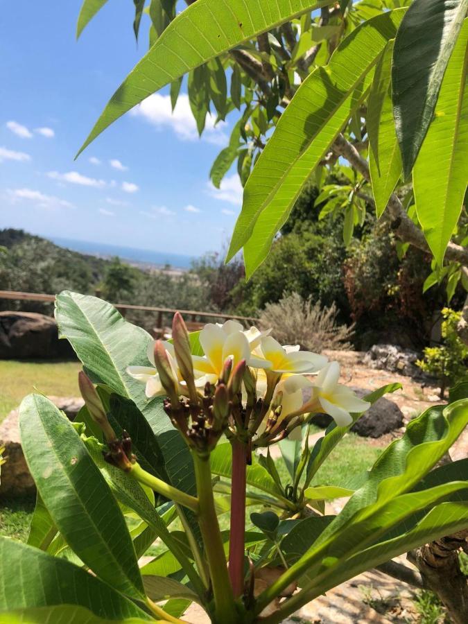 Above The Sea Villa Ein Hod Luaran gambar