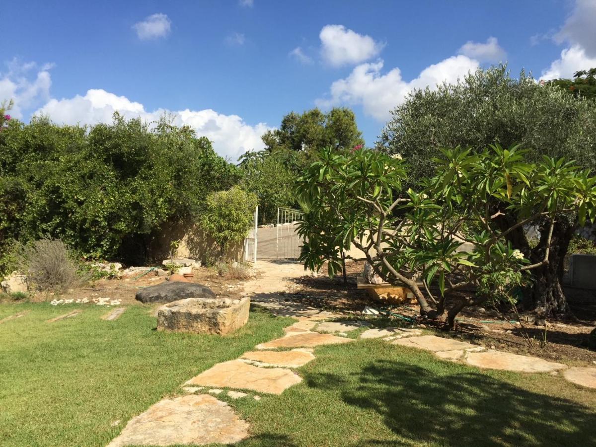 Above The Sea Villa Ein Hod Luaran gambar