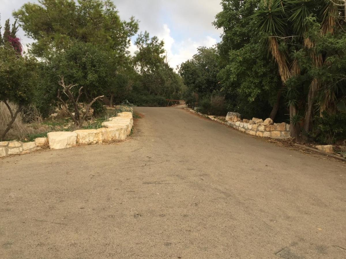 Above The Sea Villa Ein Hod Luaran gambar