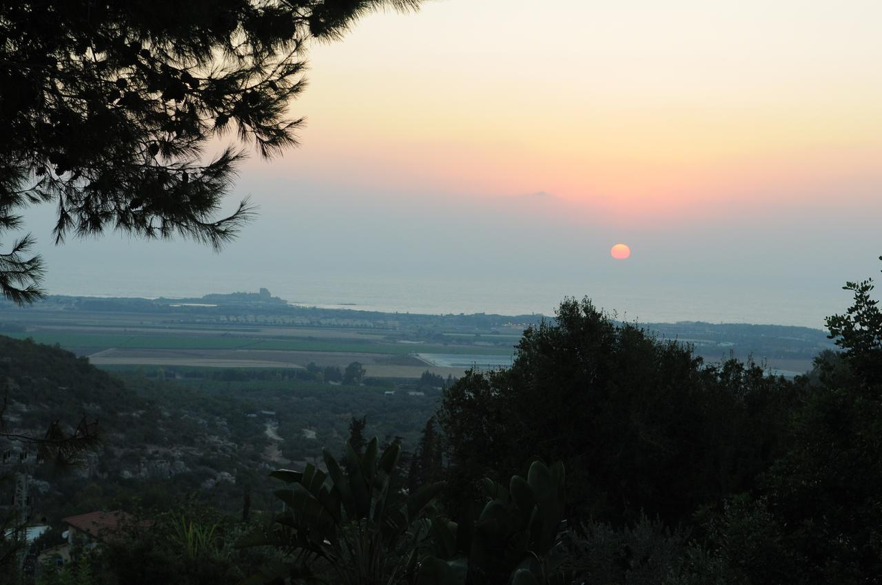 Above The Sea Villa Ein Hod Luaran gambar