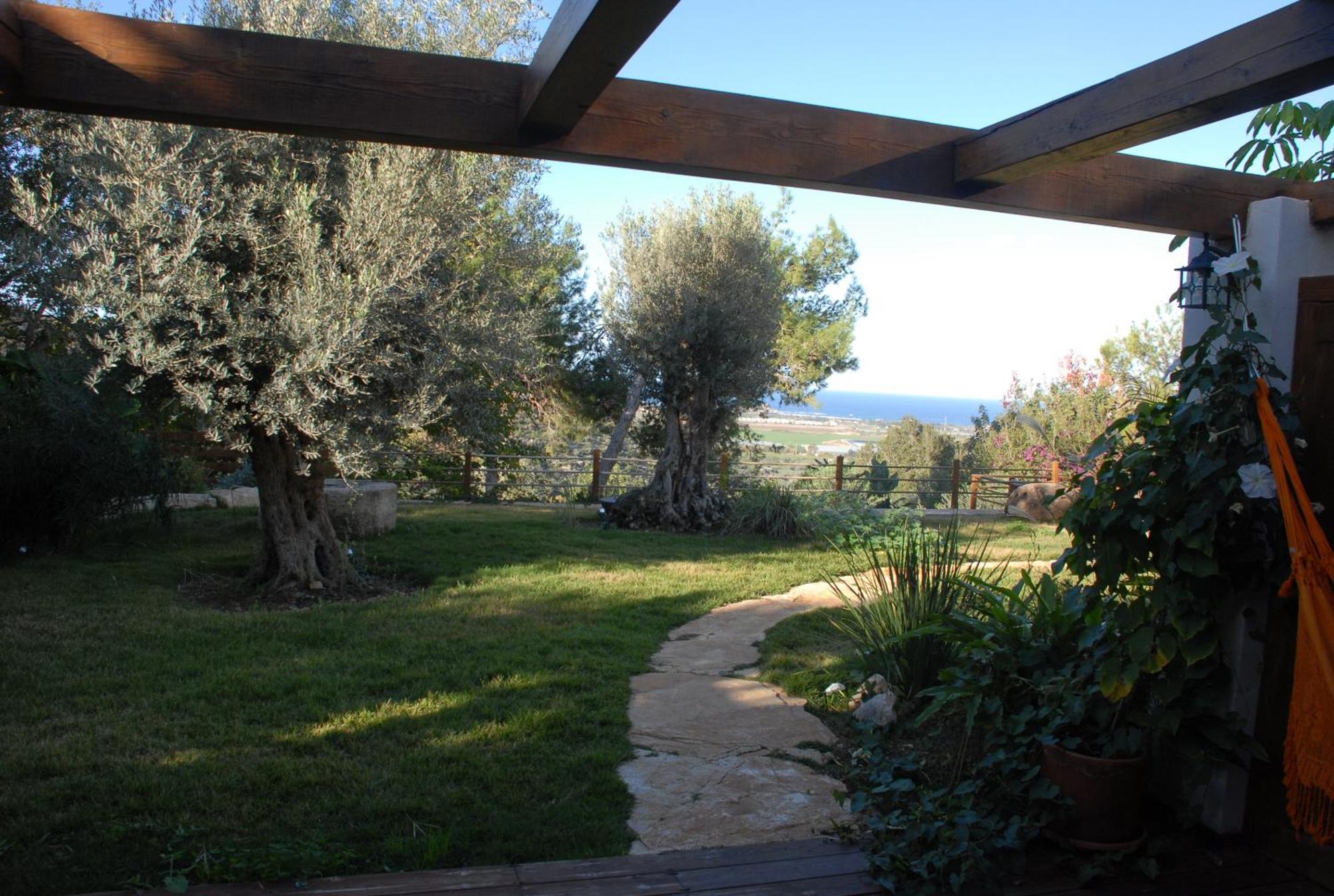 Above The Sea Villa Ein Hod Luaran gambar