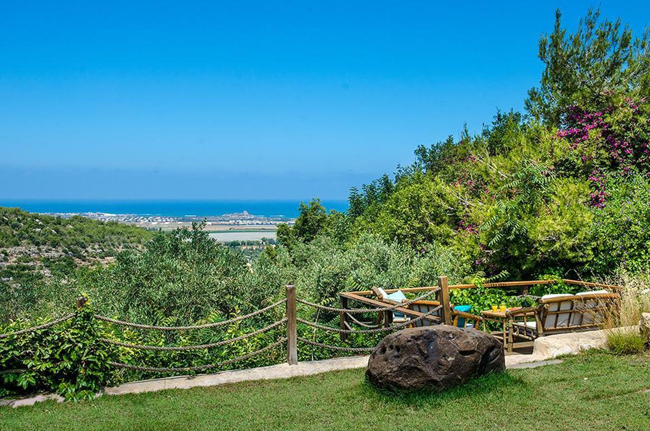 Above The Sea Villa Ein Hod Luaran gambar