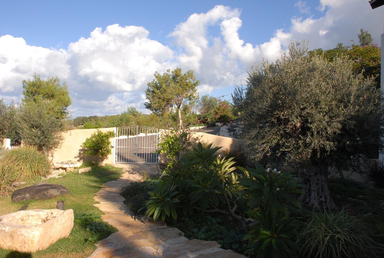 Above The Sea Villa Ein Hod Luaran gambar