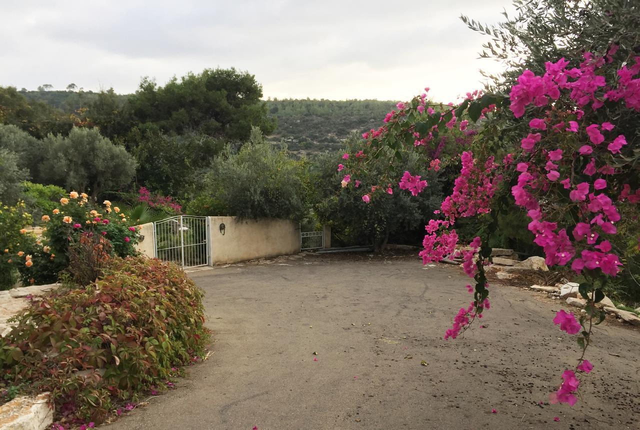 Above The Sea Villa Ein Hod Luaran gambar